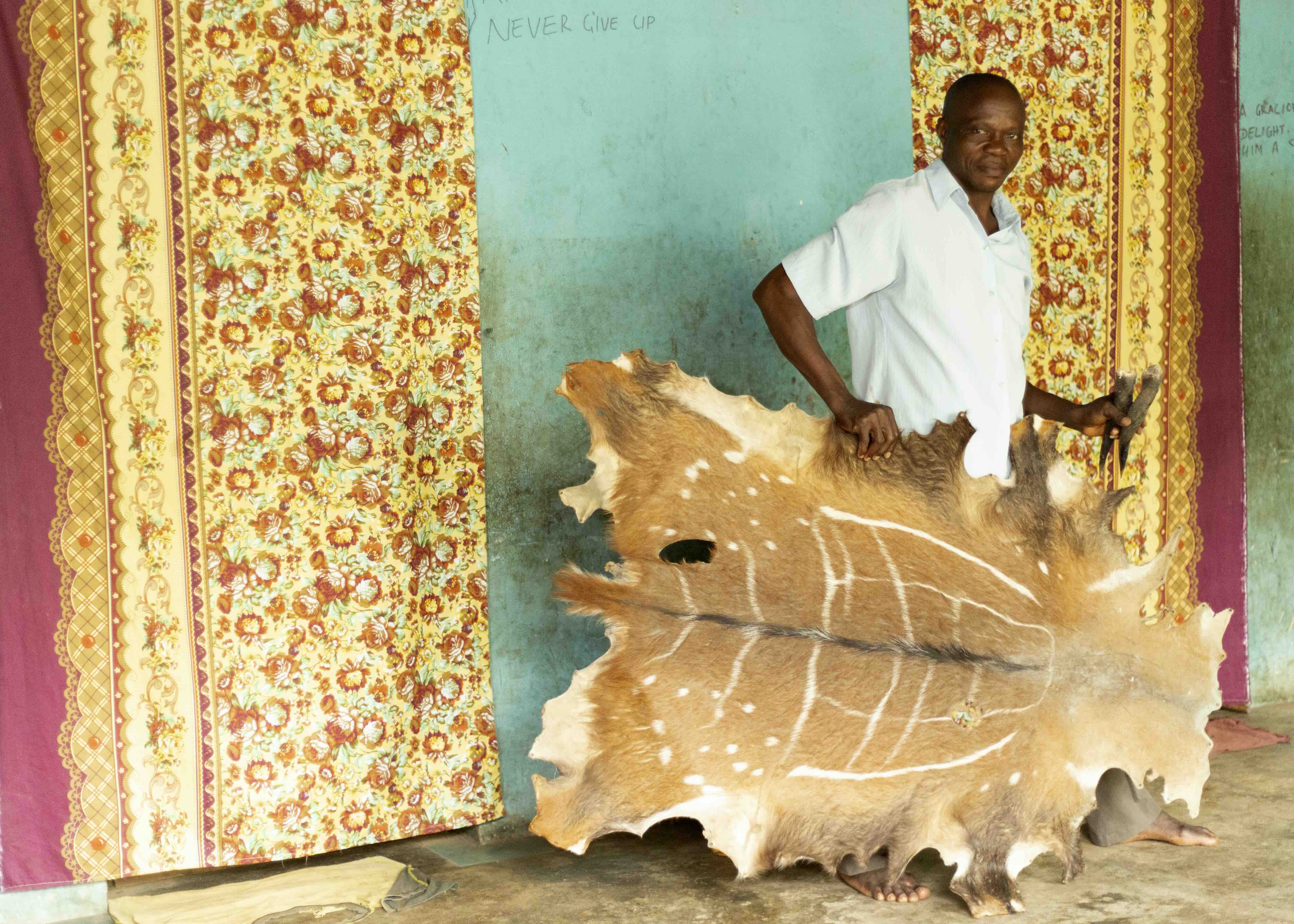 Man with spotted animal skin pelt